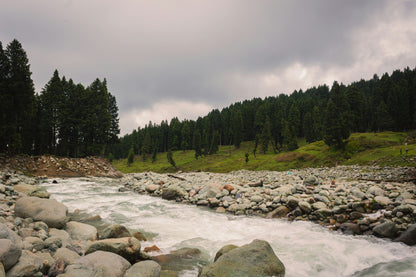 Kashmir + Doodhpathri Tour Package (6N/7D)