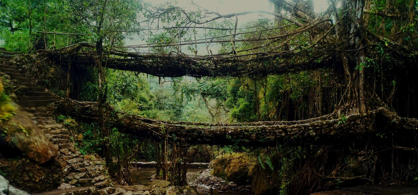 Shillong – Cherrapunji – Dawki Trip (4N/5D)