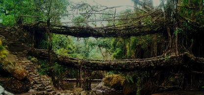 Shillong – Cherrapunji – Dawki Trip (4N/5D)