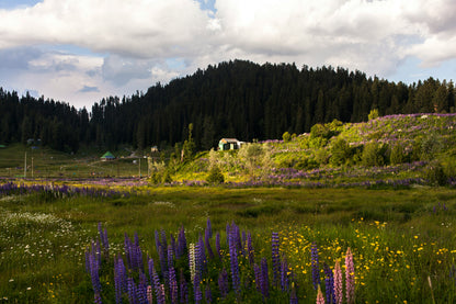 Complete Kashmir Tour Package (5N/6D)