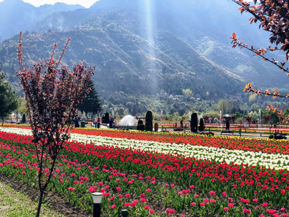 Complete Kashmir Tour Package (5N/6D)
