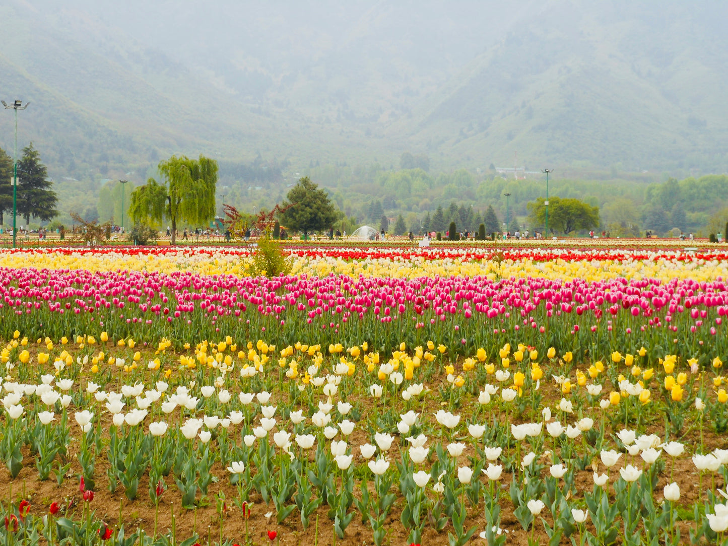 Complete Kashmir Tour Package (5N/6D)