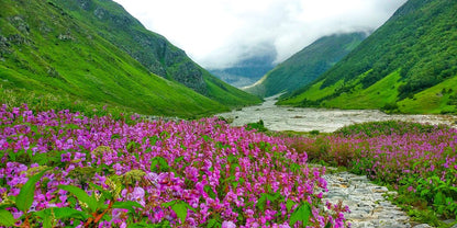 Valley of Flowers Trek with Hemkund Sahib (5N/6D Budget Plan)