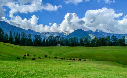 Jibhi – Tirthan Valley – Shoja (3N/4D) – Hidden Himachal