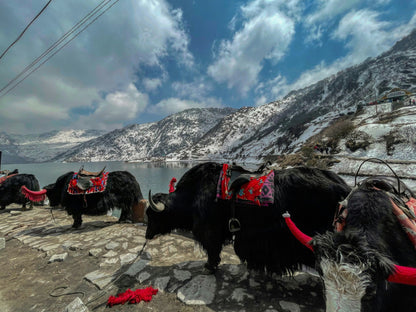Gangtok + North Sikkim Tour Package (4N/5D)