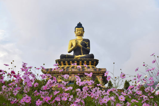 Sikkim + Pelling Tour Package (6N/7D)