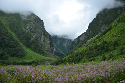 Valley of Flowers Trek with Hemkund Sahib (5N/6D Budget Plan)